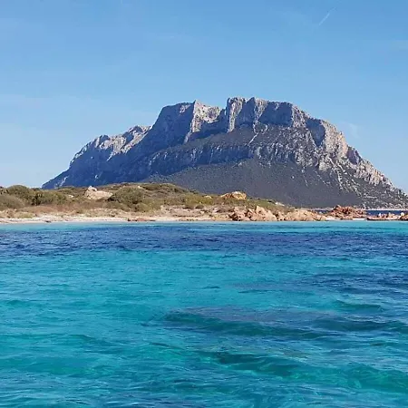 Syloic Avec Piscine Filtrée Hors Sol Pour Enfants Сasa de vacaciones Loiri Porto San Paolo