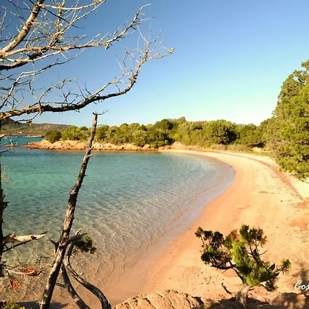Syloic Porto San Paolo (Sardinia)