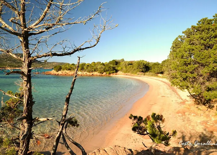 Syloic Avec Piscine Filtree Hors Sol Pour Enfants Porto San Paolo (Sardinia)